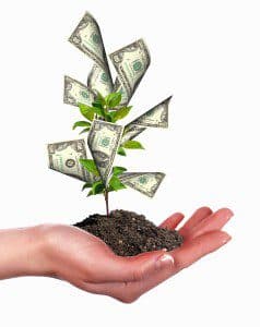 Small Business - Money Grows on Trees?